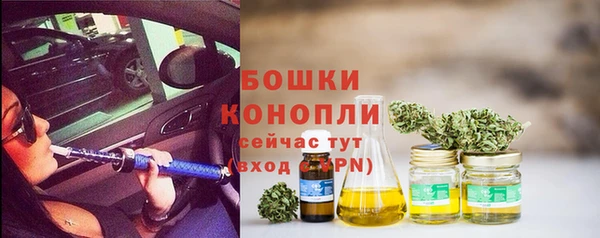 хмурый Горняк