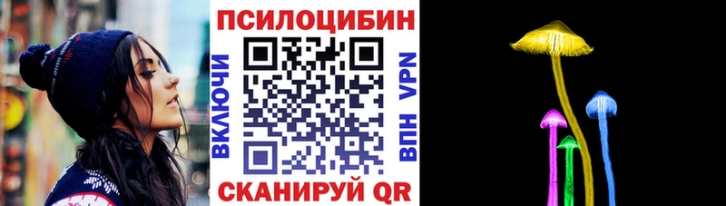 купить наркоту  Няндома  Псилоцибиновые грибы мухоморы 